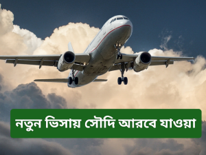 নতুন ভিসায় সৌদি আরবে যাওয়ার প্রক্রিয়া 